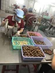 Đắk Lắk: Tình hình hoạt động sản xuất công nghiệp trên địa bàn tỉnh tháng 4/2022
