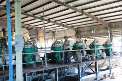 Nhà máy chế biến tinh bột sắn tại huyện Cư M'gar