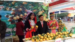 Mời tham gia Hội chợ Xuân Phú Yên năm 2018