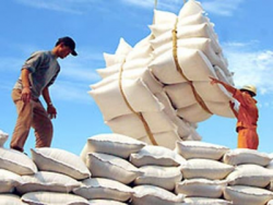 Bộ Công Thương quy định chi tiết về kinh doanh xuất khẩu gạo 