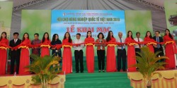 Gian hàng tỉnh Đắk Lắk tham gia Hội chợ Nông nghiệp quốc tế Việt Nam 2019