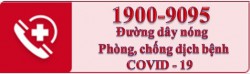 Thông báo đường dây nóng 1900-9095 để tiếp nhận cuộc gọi người dân về COVID-19