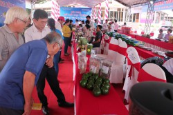 Đắk Lắk ban hành Quy chế mới về quản lý và thực hiện Chương trình xúc tiến thương mại