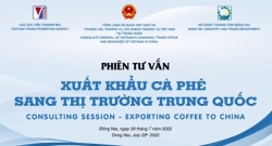 Phiên tư vấn xuất khẩu cà phê sang thị trường Trung Quốc