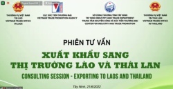 Phiên tư vấn xuất khẩu sang thị trường Lào và Thái Lan