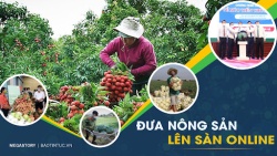 Hỗ trợ đưa hộ SXNN lên sàn TMĐT thúc đẩy phát triển kinh tế số nông nghiệp và nông thôn tỉnh Đắk Lắk