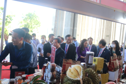 Hội nghị Kết nối cung - cầu hàng Việt Nam tại tỉnh Bình Định năm 2022
