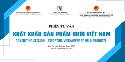 Phiên tư vấn xuất khẩu sản phẩm bưởi Việt Nam