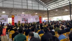 Tỉnh Đắk Lắk tham gia lễ hội trà và cà phê tại tỉnh Champasak - nước CHDCND Lào