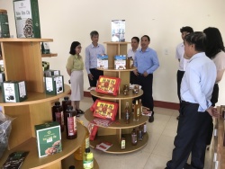 Đắk Lắk: Bình chọn sản phẩm công nghiệp nông thôn tiêu biểu cấp tỉnh năm 2023