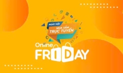 Tuần lễ Thương mại điện tử quốc gia và Ngày mua sắm trực tuyến Việt Nam - Online Friday 2024