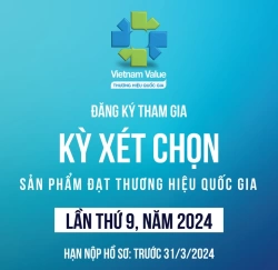 Vietnam Value 2024