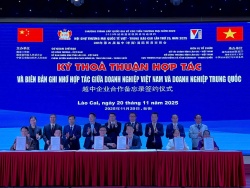 Hội Nghị giới thiệu cơ chế chính sách xuất nhập khẩu kết hợp giao thương doanh nghiệp Việt - Trung