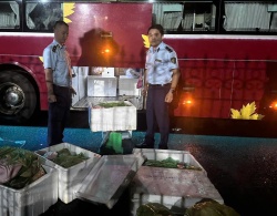 Đắk Lắk: Đội Quản lý thị trường số 4 phát hiện hơn 250 kilogam thịt heo đông lạnh không rõ nguồn gốc, xuất xứ đang trên đường tiêu thụ
