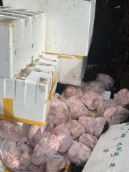 Đắk Lắk: Tiêu hủy gần 400kg thịt heo và xử phạt gần 50 triệu đồng đối với cơ sở kinh doanh thực phẩm không rõ nguồn gốc, xuất xứ