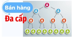 Xác nhận đăng ký sửa đổi, bổ sung nội dung hoạt động bán hàng đa cấp tại địa phương