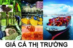 Bảng giá nông sản ngày 22/7/2025