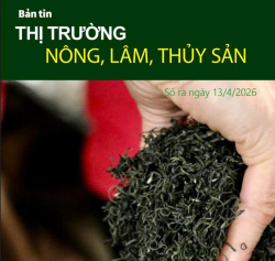 Bản tin thị trường Nông lâm thủy sản