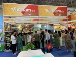 Gian hàng tỉnh Đắk Lắk tại Hội chợ Caexpo Trung Quốc năm 2024