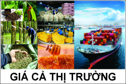 Bảng giá nông sản ngày 17/9/2026