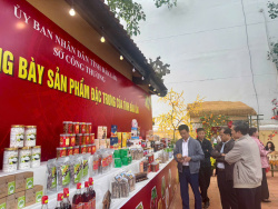 Lãnh đạo tham quan