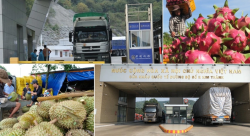 Thông báo thực thi quy định về quản lý đăng ký doanh nghiệp nước ngoài đối với thực phẩm nhập khẩu vào Trung Quốc