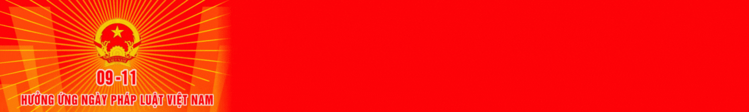 Ngay Phap luat VN