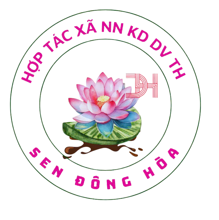 HTX nông nghiệp kinh doanh dịch vụ Tổng hợp sen đông hòa