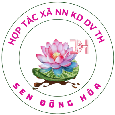 HTX nông nghiệp kinh doanh dịch vụ Tổng hợp sen đông hòa