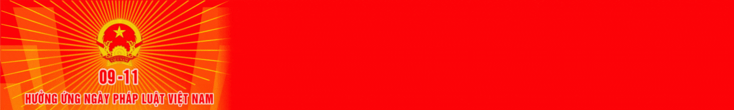 Ngay Phap luat VN