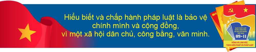 Ngay Phap luat VN