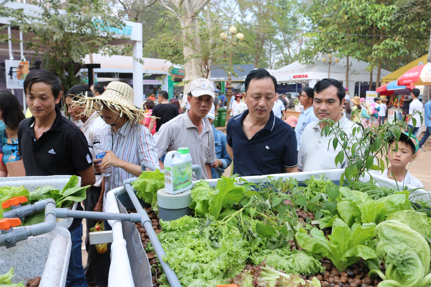 Mời tham gia Hội chợ Nông nghiệp Quốc tế Việt Nam 2017 tại Tp. Cần Thơ
