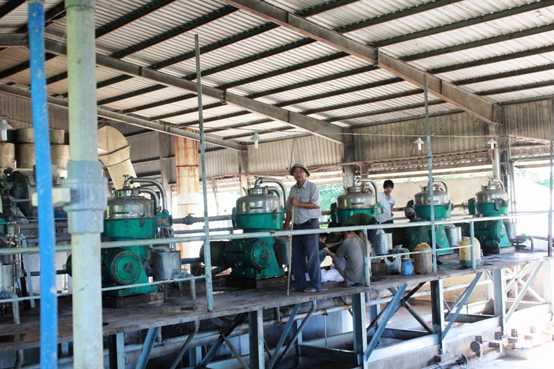 Đắk Lắk: Tình hình hoạt động sản xuất công nghiệp trên địa bàn tỉnh tháng 4/2024