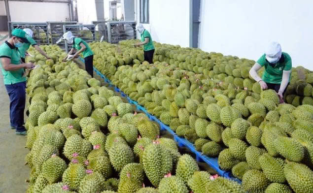 Lệnh 280 của Trung Quốc có hiệu lực từ ngày 1/6/2026