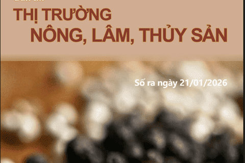 Bản tin thị trường nông, lâm, thủy sản số ra ngày 21/1/2026