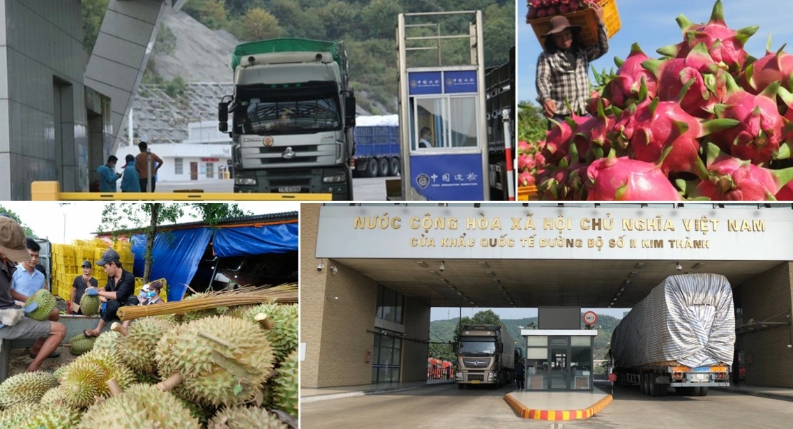 Thông báo thực thi quy định về quản lý đăng ký doanh nghiệp nước ngoài đối với thực phẩm nhập khẩu vào Trung Quốc